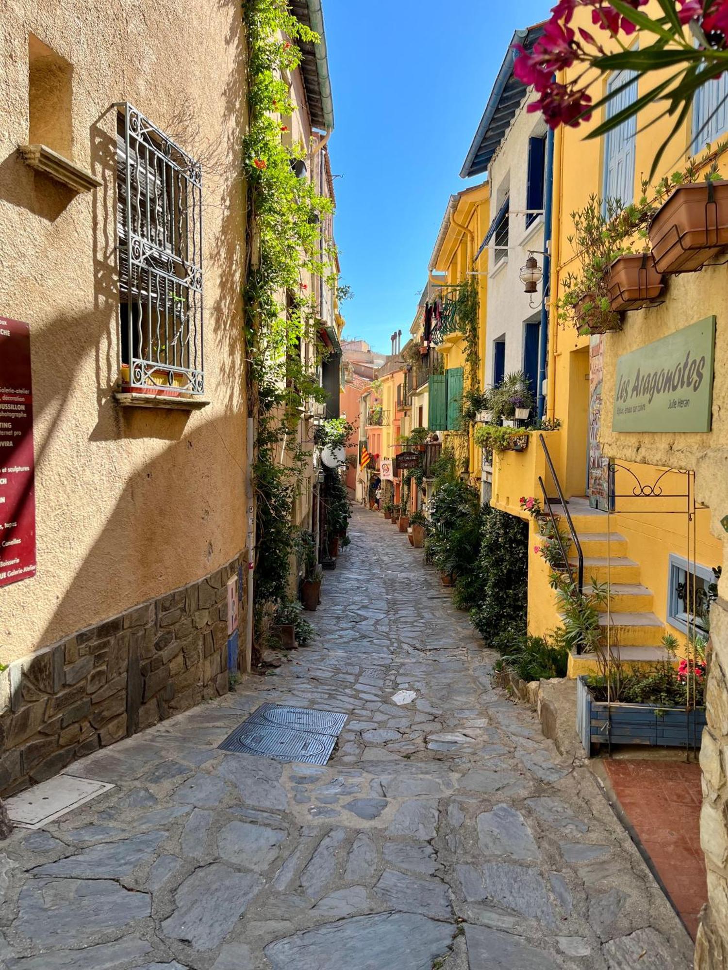 Appartement Collioure, Grande Terrasse Et Parking Экстерьер фото